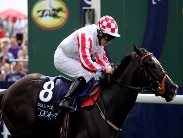 Sole Power can win another Nunthorpe Stakes at York